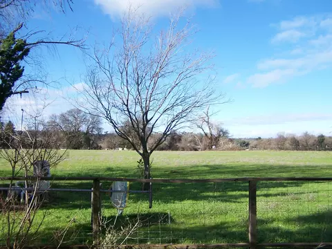 15915 E Wallen Rd, Red Bluff, CA 96080 photo 30