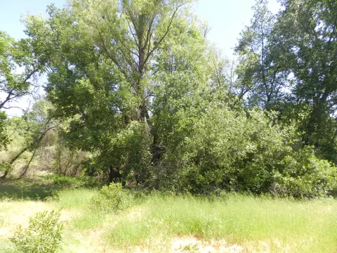 7599 Platinum Way, Redding, CA 96001 photo 18