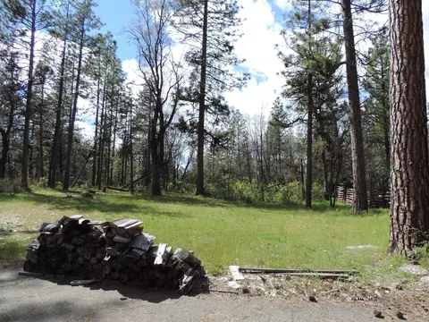 38004 Whaley Dr, Burney, CA 96013 photo 20