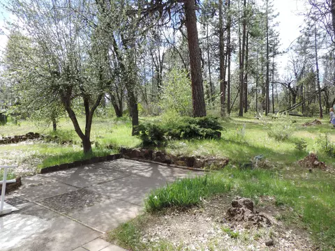 38004 Whaley Dr, Burney, CA 96013 photo 22