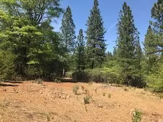 6907 Bunny Tail Dr, Shingletown, CA 96088 photo 5