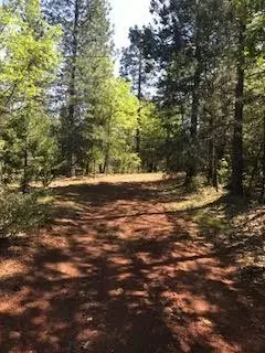 6907 Bunny Tail Dr, Shingletown, CA 96088 photo 11