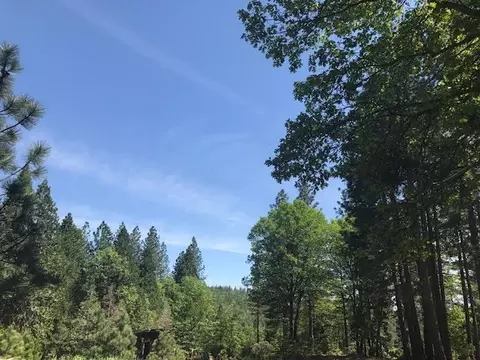 6907 Bunny Tail Dr, Shingletown, CA 96088 photo 8
