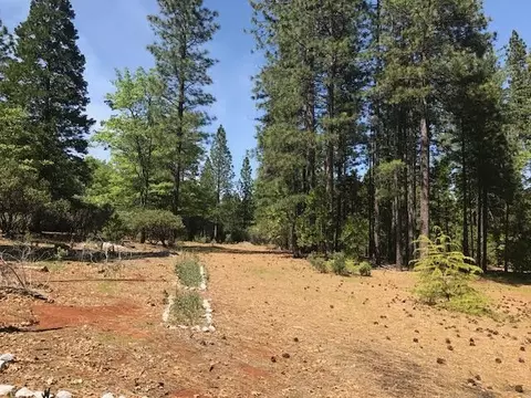 6907 Bunny Tail Dr, Shingletown, CA 96088 photo 10