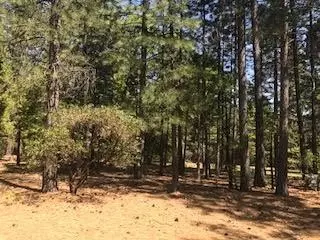 6907 Bunny Tail Dr, Shingletown, CA 96088 photo 6
