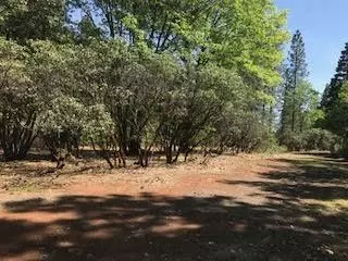 6907 Bunny Tail Dr, Shingletown, CA 96088 photo 3