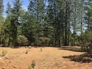 6907 Bunny Tail Dr, Shingletown, CA 96088 photo 4