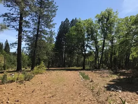 6907 Bunny Tail Dr, Shingletown, CA 96088 photo 1