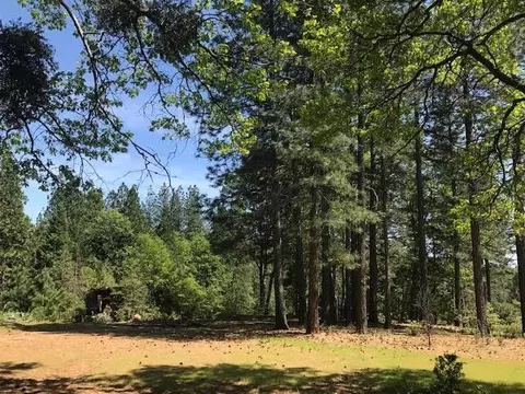 6907 Bunny Tail Dr, Shingletown, CA 96088 photo 9