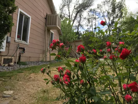 12548 Williamson Rd, Redding, CA 96003 photo 10