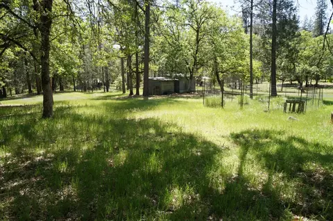 21 Chief George Mdw, Lewiston, CA 96052 photo 35