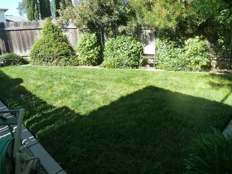1995 Riviera Dr, Redding, CA 96001 photo 39