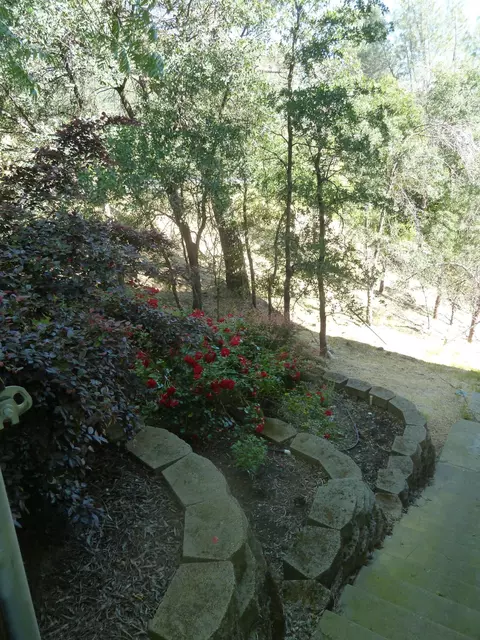 1995 Riviera Dr, Redding, CA 96001 photo 40