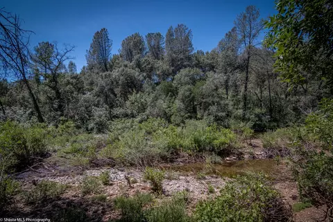 1691 Edgewood Dr, Redding, CA 96003 photo 25