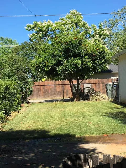 1805 Garden Ave, Redding, CA 96001 photo 11