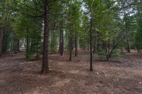 7675 Long Hay Flat Rd, Shingletown, CA 96088 photo 37