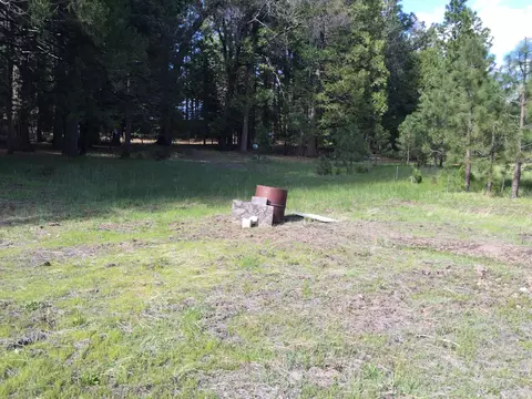 7675 Long Hay Flat Rd, Shingletown, CA 96088 photo 27