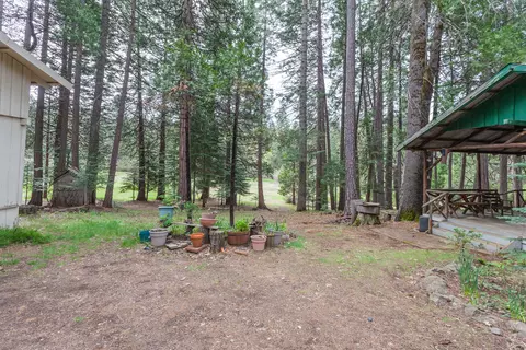 7675 Long Hay Flat Rd, Shingletown, CA 96088 photo 29