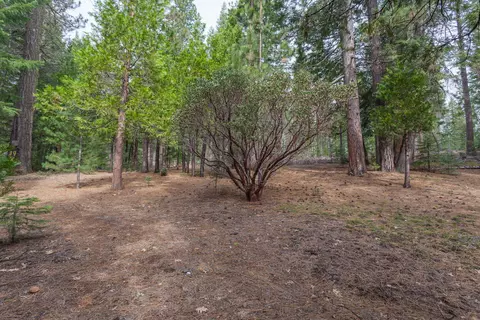 7675 Long Hay Flat Rd, Shingletown, CA 96088 photo 40