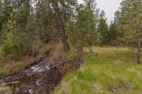 7675 Long Hay Flat Rd, Shingletown, CA 96088 photo 33