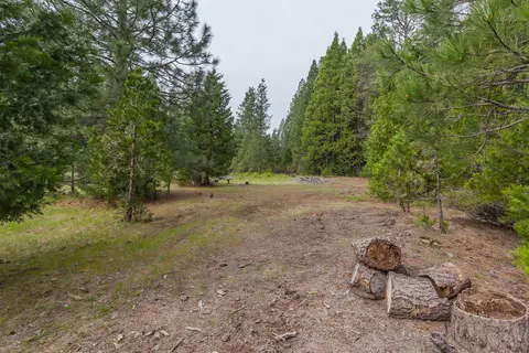 7675 Long Hay Flat Rd, Shingletown, CA 96088 photo 31