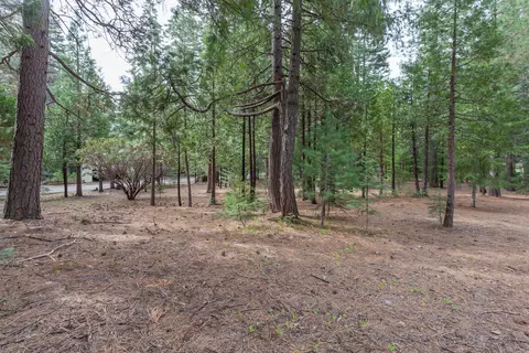 7675 Long Hay Flat Rd, Shingletown, CA 96088 photo 41