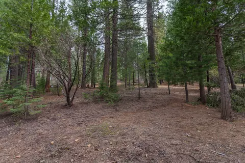 7675 Long Hay Flat Rd, Shingletown, CA 96088 photo 38