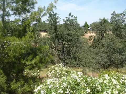 2710 Starlight Blvd, Redding, CA 96001 photo 16