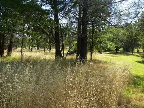 19700 Paso Robles, Redding, CA 96003 photo 24