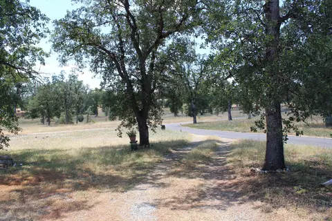 10291 Porta Dego Way, Redding, CA 96003 photo 4