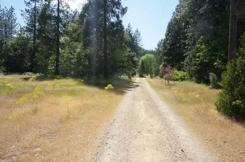 1011 Mann Rd, Coffee Creek, CA 96091 photo 50
