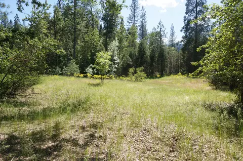 1011 Mann Rd, Coffee Creek, CA 96091 photo 44