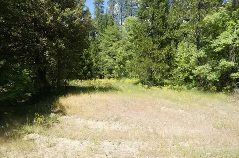 1011 Mann Rd, Coffee Creek, CA 96091 photo 41