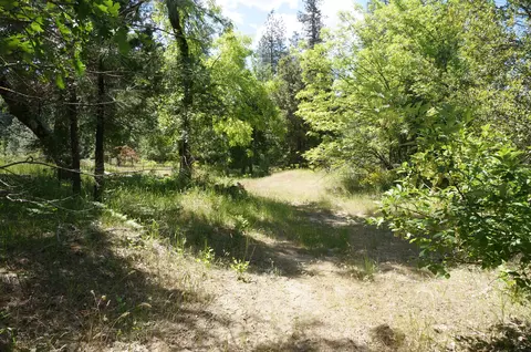 1011 Mann Rd, Coffee Creek, CA 96091 photo 42