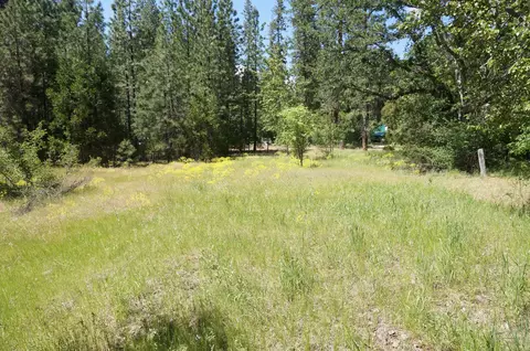1011 Mann Rd, Coffee Creek, CA 96091 photo 49