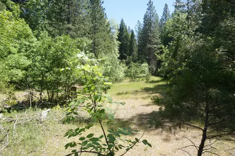 1011 Mann Rd, Coffee Creek, CA 96091 photo 48