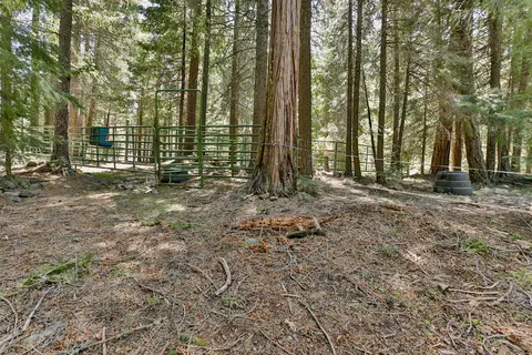 7596 Brokeoff Meadows Rd, Shingletown, CA 96088 photo 33