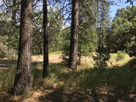 21523 Riverview Dr, Lakehead, CA 96051 photo 26