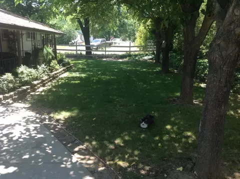 10173 Salmon Creek Rd, Redding, CA 96003 photo 2