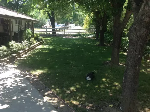 10173 Salmon Creek Rd, Redding, CA 96003 photo 3