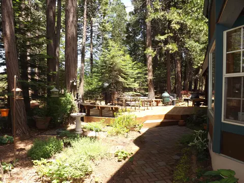 8114 Sky Tree Ln, Shingletown, CA 96088 photo 21