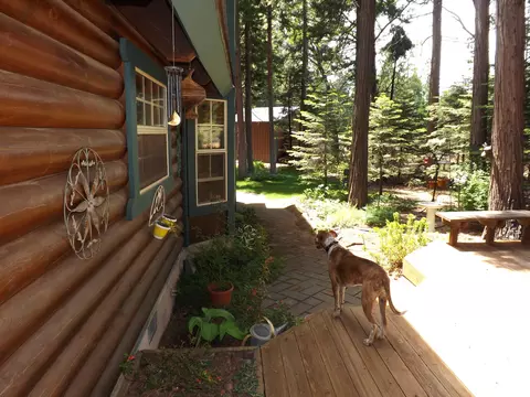 8114 Sky Tree Ln, Shingletown, CA 96088 photo 7