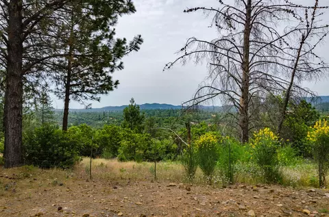 16249 North St, Redding, CA 96001 photo 7