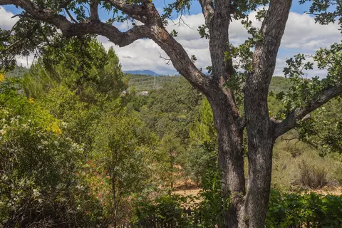 1780 Ridge Dr, Redding, CA 96001 photo 28