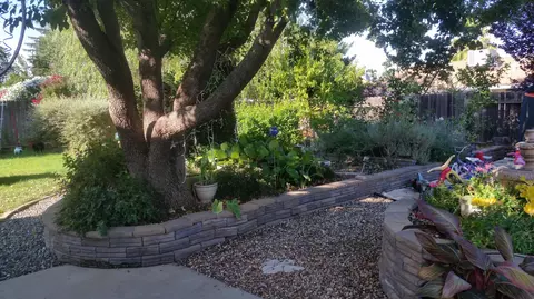 3767 Pegasus St, Redding, CA 96002 photo 15