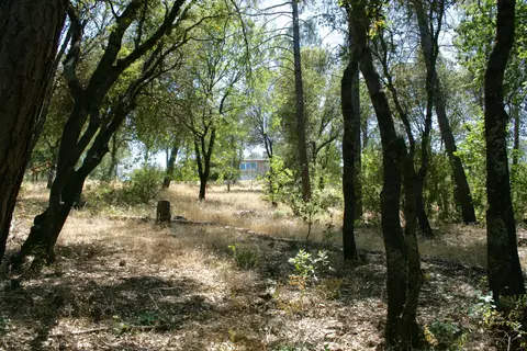 6384 Double K Dr, Anderson, CA 96007 photo 55