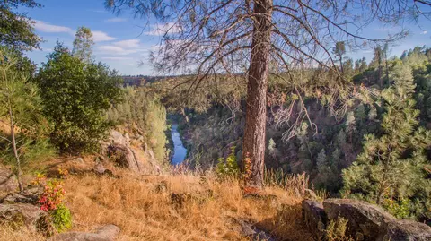 7555 Clear Canyon Rd, Redding, CA 96001 photo 14