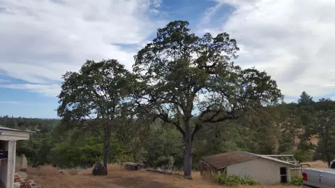 14074 Oak Run Rd, Oak Run, CA 96069 photo 8