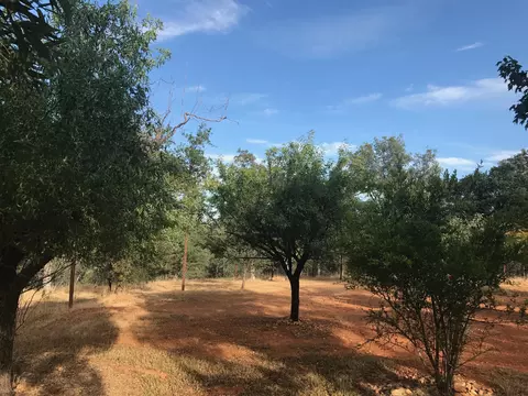 16752 Lassen Ave, Anderson, CA 96007 photo 34