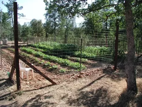 16752 Lassen Ave, Anderson, CA 96007 photo 39